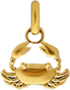 Gold Crab Charm